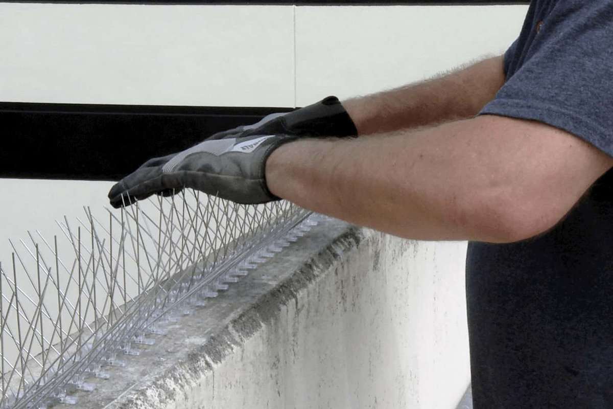 Bird Spike Installation